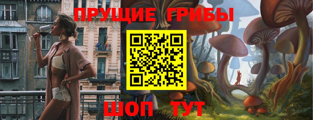 Галлюциногенные грибы мицелий Владивосток