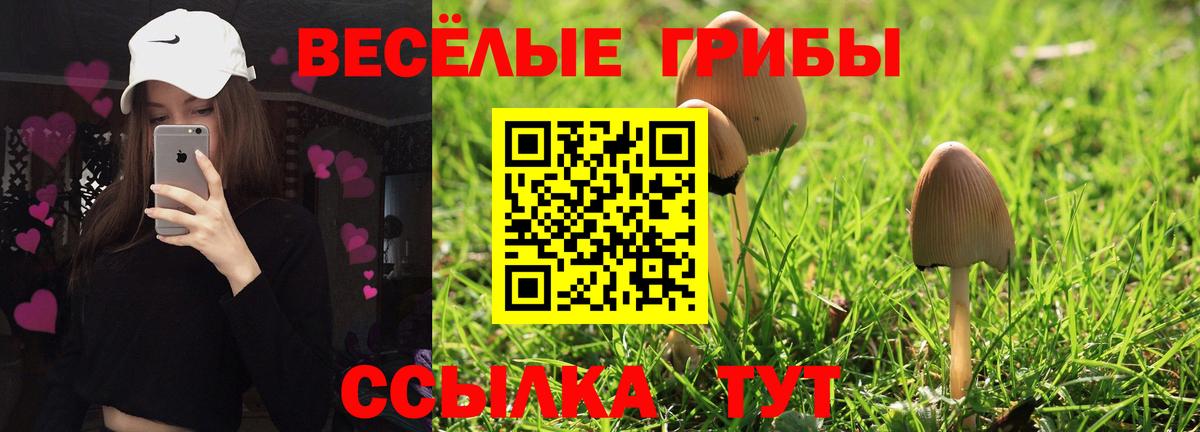 Псилоцибиновые грибы MAGIC MUSHROOMS  Галлюциногенные грибы MAGIC MUSHROOMS  Владивосток  Вход с VPN 